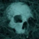 ࣪ ִֶָ☾. ℭ𝔥𝔞𝔪𝔟𝔢𝔯 𝔬𝔣 𝔖𝔢𝔠𝔯𝔢𝔱𝔰 ⋆˙⟡  𓏲𝄢
