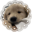 /pup𐂯 Discord server icon