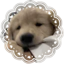 /pup𐂯