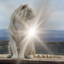 relic Discord server icon