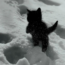 PlaceHolder Discord server icon