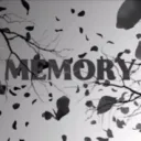MEMORY | MRY | GORILLA TAG COMP