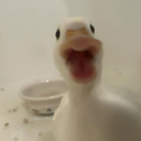 𝙁𝙞𝙣𝙖𝙡 𝙍𝙤𝙪𝙣𝙙