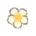 kemi's server