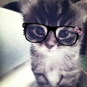 𝐓𝐡𝐞 𝐁𝐞𝐚𝐧𝐝𝐨𝐦 Discord server icon