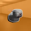 Kitty Facility