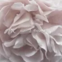 𐙚𓈒　　𓎟　　/ fleurie ₎₎  closed !