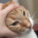 Crafters United Discord server icon