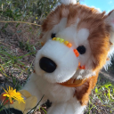 ✩ ᵕᵕ plushcoven ! Discord server icon