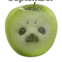 Seal Central Discord server icon