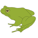 Frog Company Discord server icon
