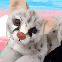 Linsang's Toybox Discord server icon