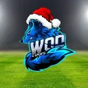 ┆1T┆Lobos Sports Football Club... Discord Server Icon