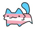 Trans Connections Discord Server Icon