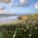 Serene Haven