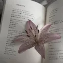in the margins