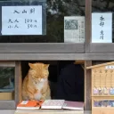 @ meozi