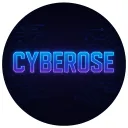 Cyber's Network