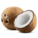 NOAD'COCO WORLD