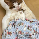 Nephew oab's lair Discord server icon