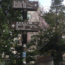 ּ ֶָ֢.🦢 𐙚𝑴𝒊𝒂'𝒔 𝑾𝑳𝑾 + 𝙼𝙻𝙼 𐙚ּ ֶָ֢ ˚⊱🪷⊰˚ Discord server icon