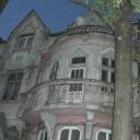 asylum