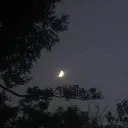 𝐌idnight 𝐌etropolis [18+]