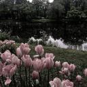 The Anti-Social Social Hub