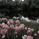 The Anti-Social Social Hub Discord server icon