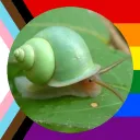 Audrey's Snail Garden