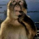 𝕂öммü𝓷αł𝓴α [✨] Discord server icon