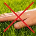 Non touching grass server Discord server icon