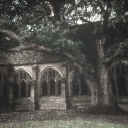 ♟ Marauders Era Roleplay ♟ Discord server icon