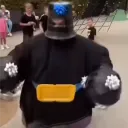 Renegade Royale