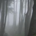 Fictionkin Fog Discord server icon