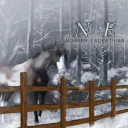 Noirien Equestrian