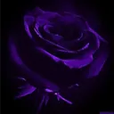 ~𝙼𝚊𝚍𝚎𝙸𝚗𝚃𝚘𝚔𝚒𝚘~