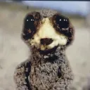 Pls pls pls pls pls Discord Server Icon