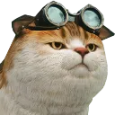 Ser Meatball (AAC)