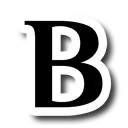 BayLang Community