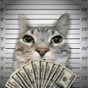 Sway's Trading Community Discord server icon