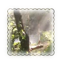   Willow Forest Discord Server Icon