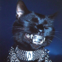 Trench Feins Discord server icon