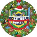 Xesteer Brasil • Amizade • Jogos • Call • Minecraft • Roblox • All GAMES • Web Namoro • CONVERSAS Discord Server Icon