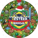 Xesteer Brasil • Amizade • Jog... Discord Server Icon