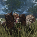 ! * Wild Fangs * ! Discord server icon