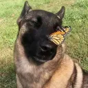 𝐶ℎ𝑖𝑙𝑙 & 𝐴ℎ𝑟𝑒 Discord server icon