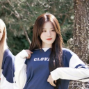 ꧁༺ Plated Perfection Guild ༻꧂ Discord server icon