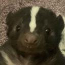 Skunk Spray Union