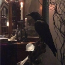 🦗ᛝ ⸝⸝ Cricket Cavern ⊱  ۫ ׅ ✧ Discord server icon